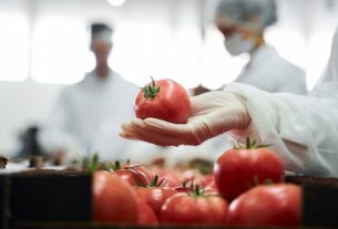 Sesc Comunidade promove oficinas de Boas Práticas de Manipulação de Alimentos a partir de sexta-feira (08/03)