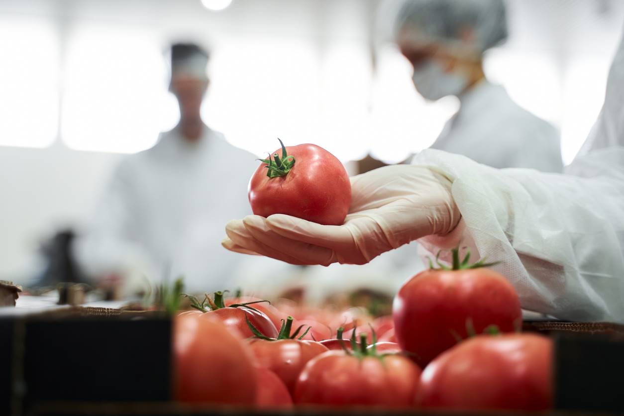 Sesc Comunidade promove oficinas de Boas Práticas de Manipulação de Alimentos a partir de sexta-feira (08/03)