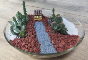 Crie Seu Próprio Mini Jardim