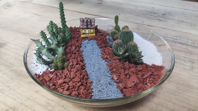 Crie Seu Próprio Mini Jardim