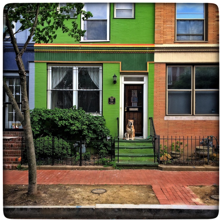 Imóveis em Dois irmãos