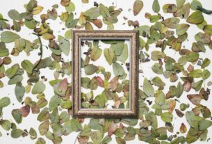 Decoração quadro botanico