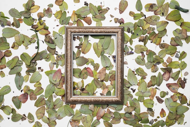 Decoração quadro botanico